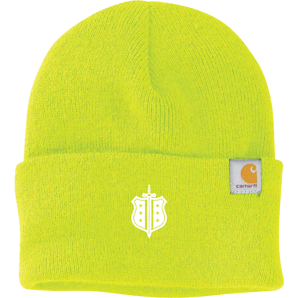 Phi Delta Theta | Carhartt Watch Cap 2.0