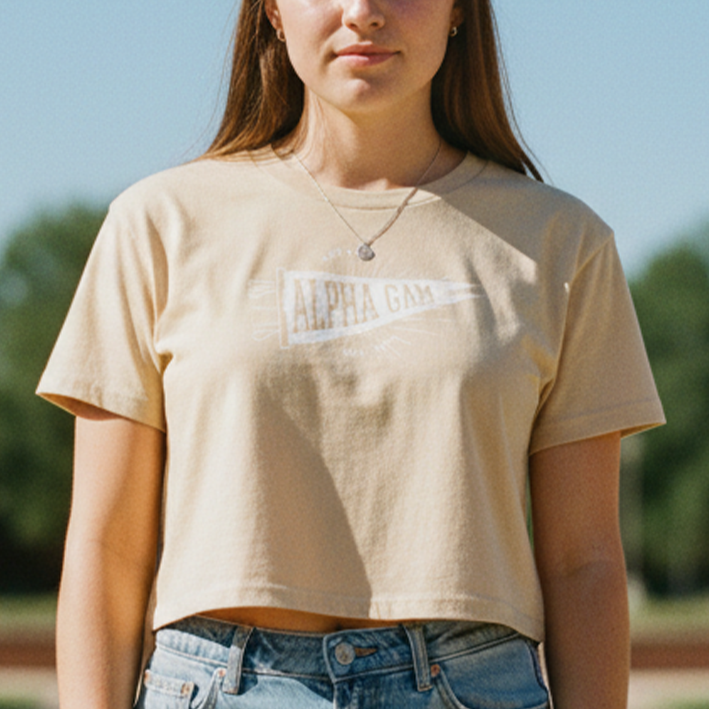Alpha Gamma Delta | Vintage Pennant Crop by Uscape